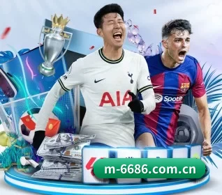 6686体育 APP