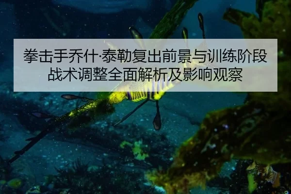 quan-ji-shou-qiao-shen-tai-lei-fu-chu-qian-jing-yu-xun-lian-jie-duan-zhan-shu-tiao-zheng-quan-mian-jie-xi-ji-ying-xiang-2-411.jpg